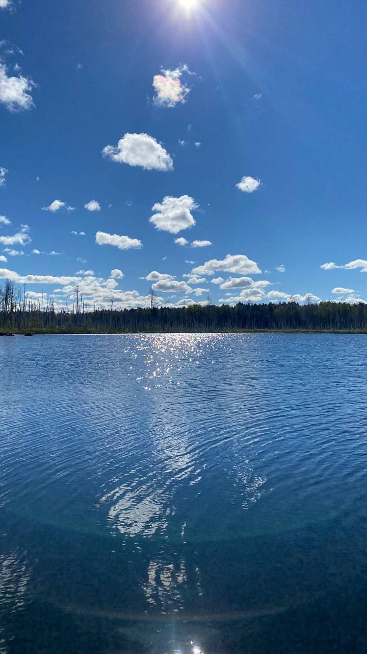Щучье озеро Окунево - уединённое место силы в берёзовом лесу