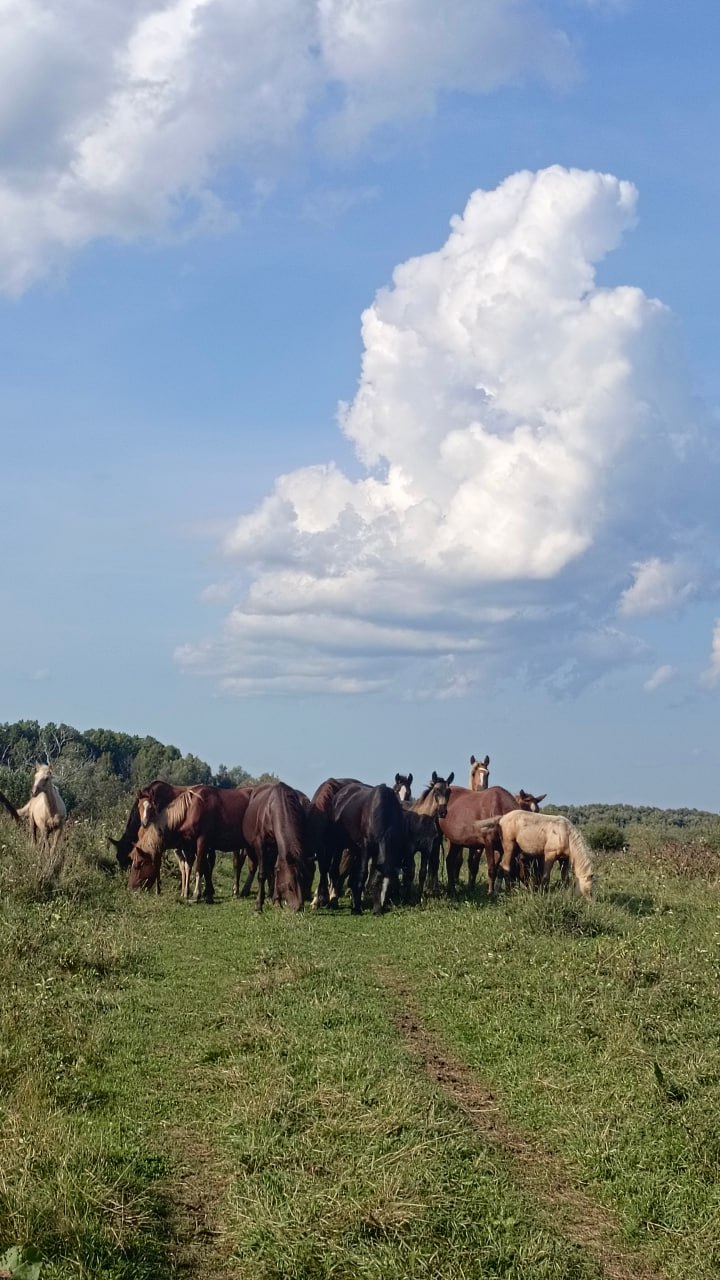 По дороге к озеру Шайтан - фото из похода Натальи